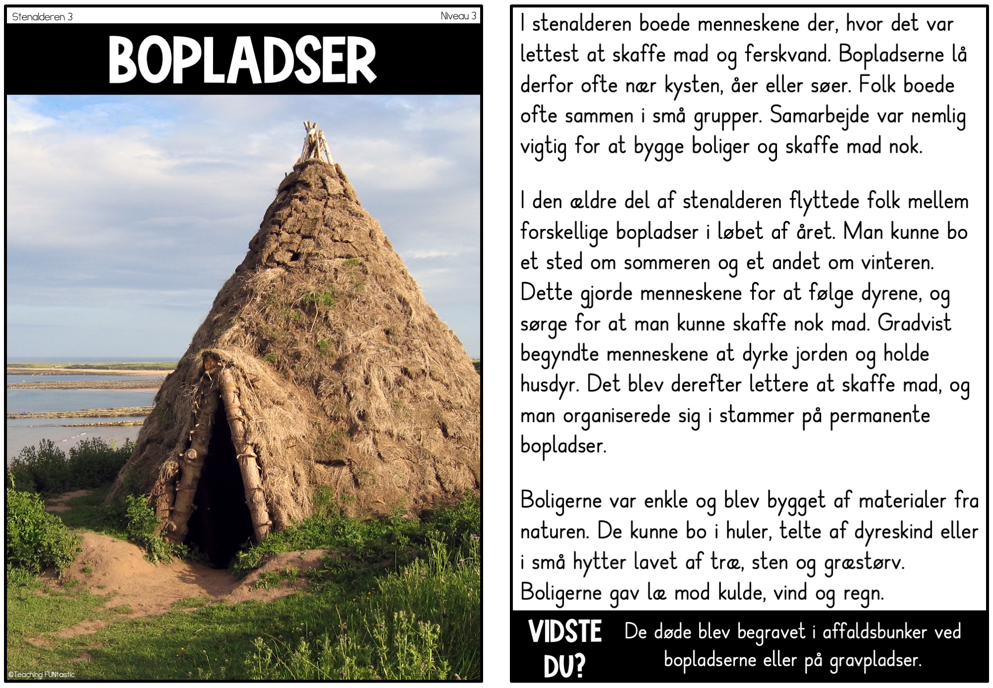 faktatekster stenalderen