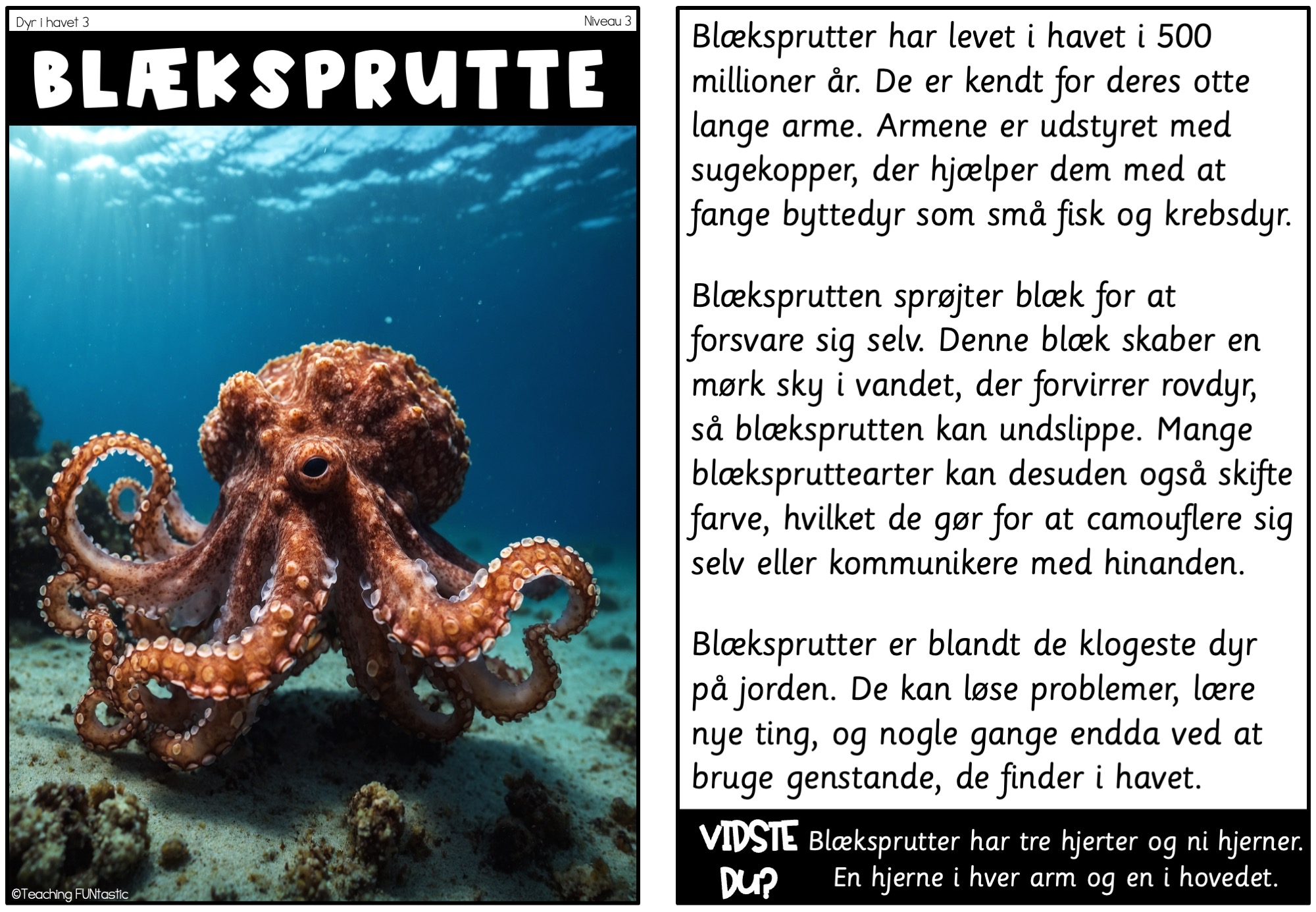 læsetekster dyr i havet