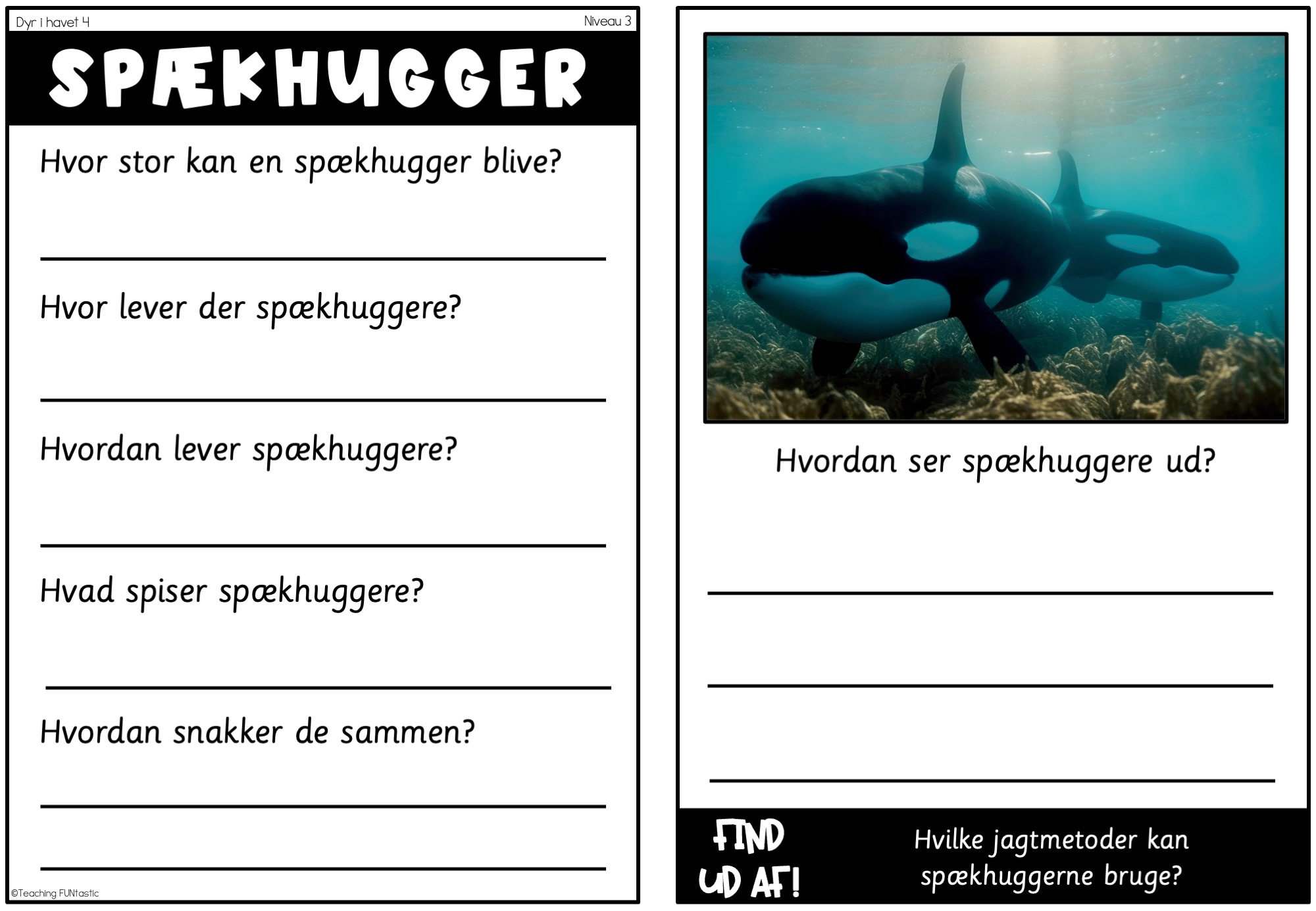 læsetekster dyr i havet
