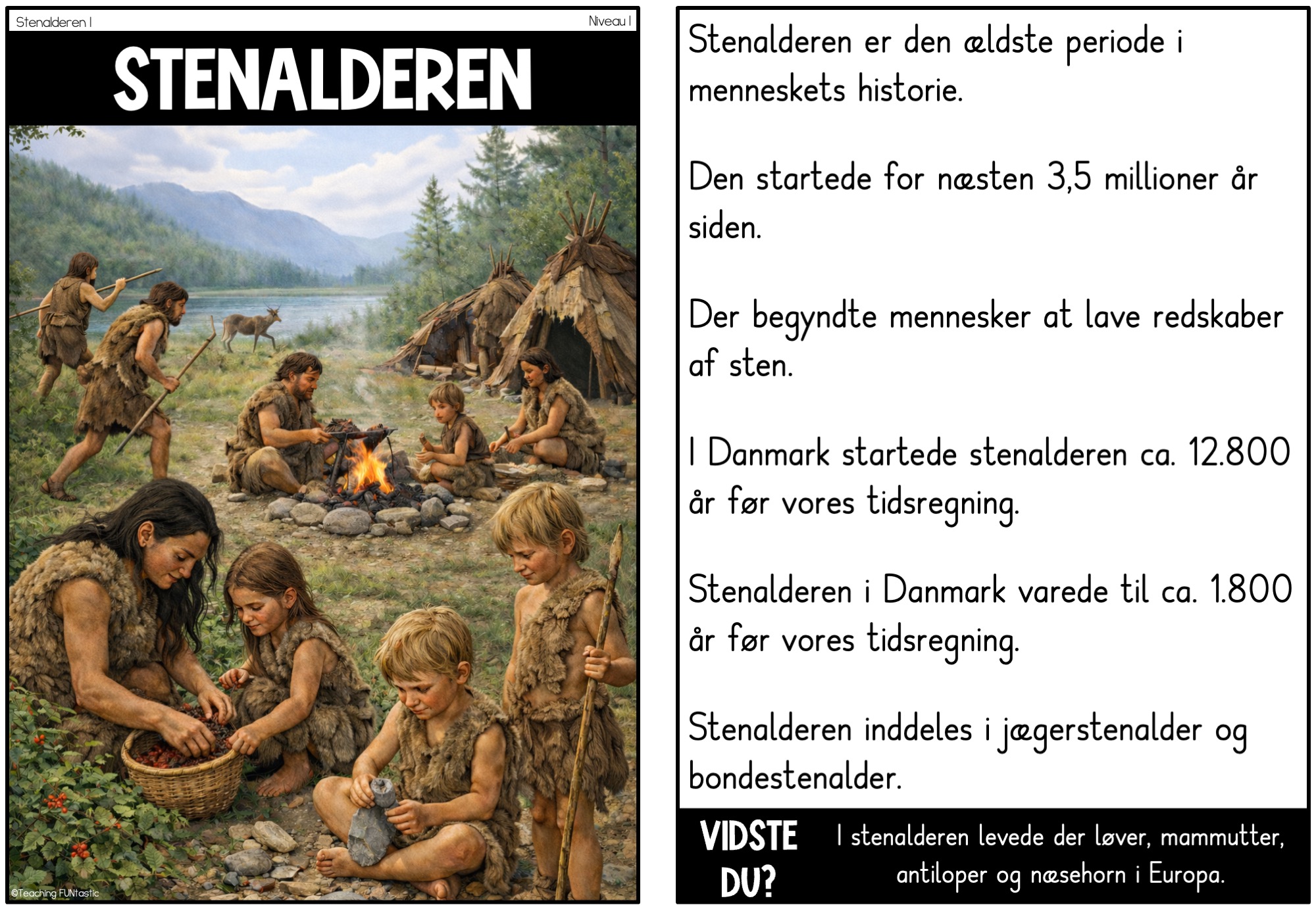 faktatekster stenalderen